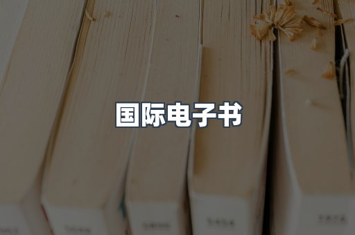 国际电子书